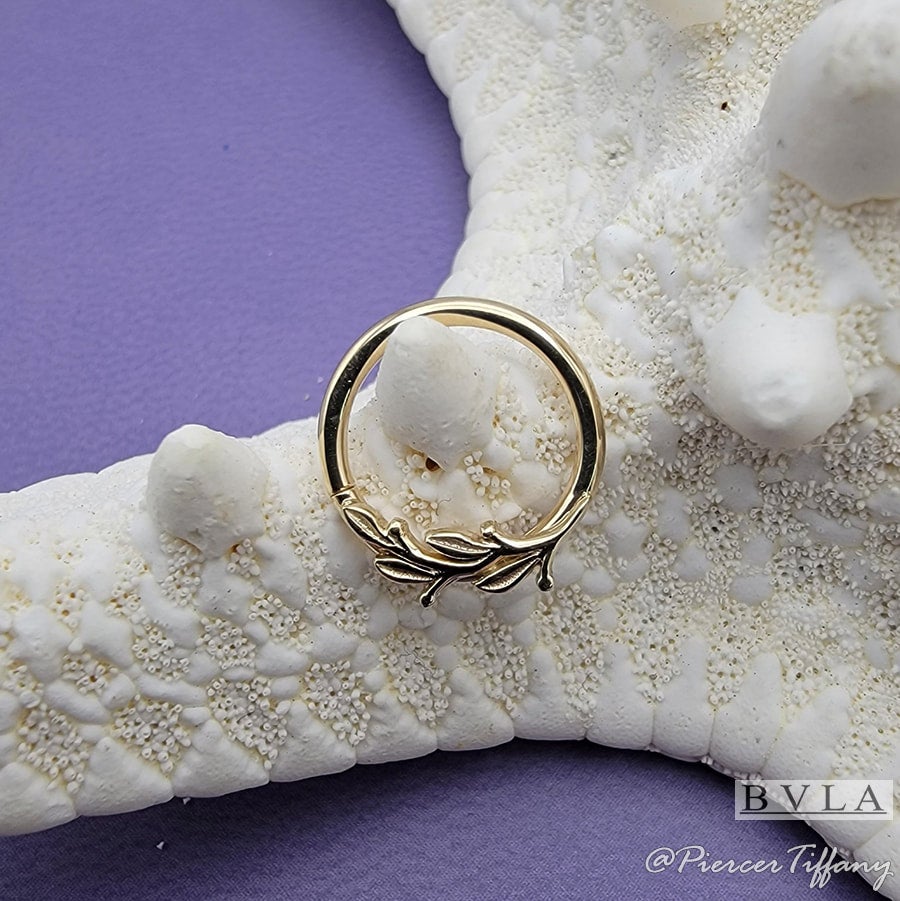 BVLA Amity 14Kイエローゴールド 16Ga 3/8