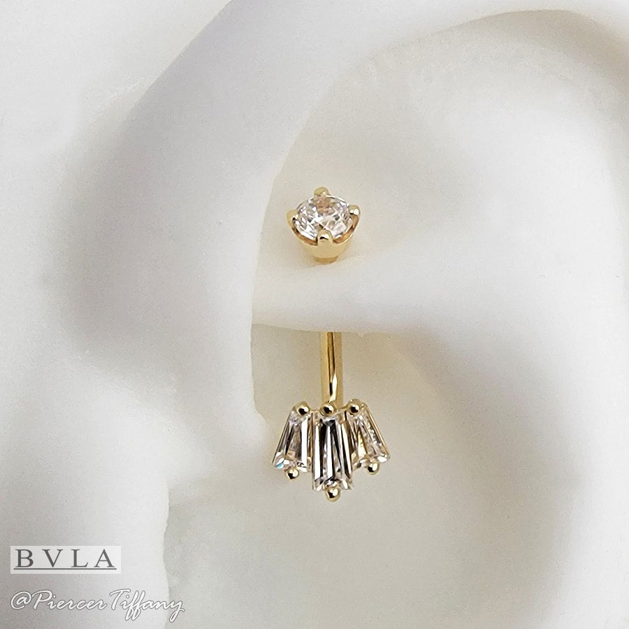 Bvla outlet curved barbell